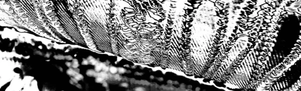 Абстрактний Сірий Текстурований Фон Простір Копіювання — стокове фото