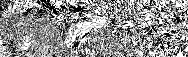 Yaban domuzu kürkü, vahşi hayvan, yaklaşın.