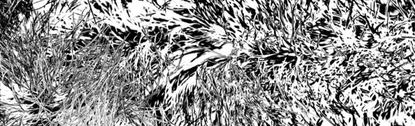 soyut siyah ve beyaz grunge arkaplanı 