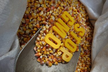 Stop the spread of the GMO clipart