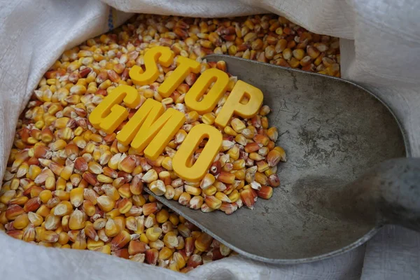 Stop Spread Gmo — Stock Photo, Image