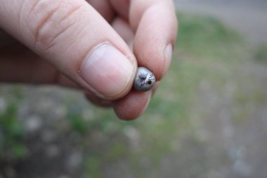 İnsan parmağında küçük bir tik.