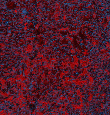 Soyut arkaplan. grunge dokusu