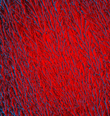 abstract grunge wallpaper, digital background