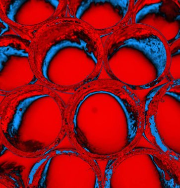 Soyut arkaplan. grunge dokusu