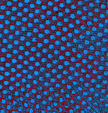 Soyut arkaplan, doku. Mavi ve kırmızı 