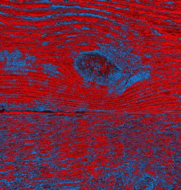 abstract grunge wallpaper, digital background