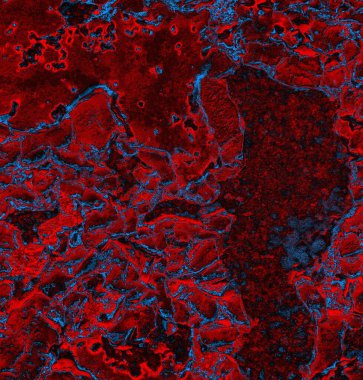 Soyut arkaplan. grunge dokusu