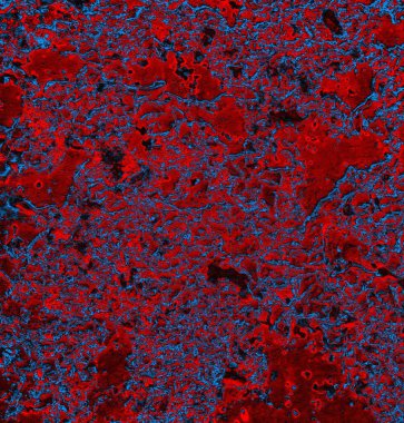 Soyut arkaplan. grunge dokusu