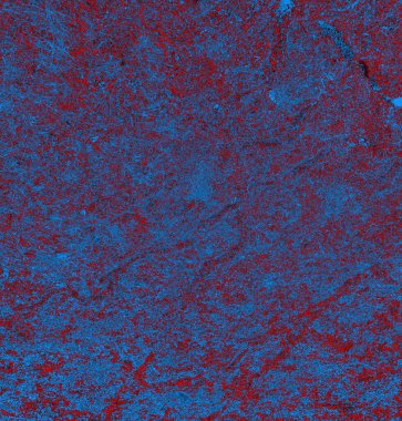 Soyut arkaplan, doku. Mavi ve kırmızı 