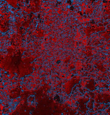 Soyut arkaplan. grunge dokusu