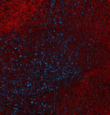 Soyut arkaplan. grunge dokusu