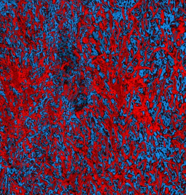 Soyut grungy desenli mavi ve kırmızı arkaplan