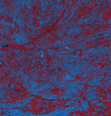 Soyut arkaplan, doku. Mavi ve kırmızı 