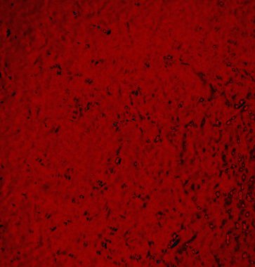 abstract grunge wallpaper, digital background