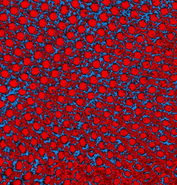 abstract grunge wallpaper, digital background