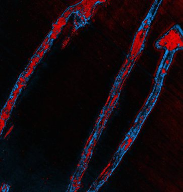 abstract grunge wallpaper, digital background