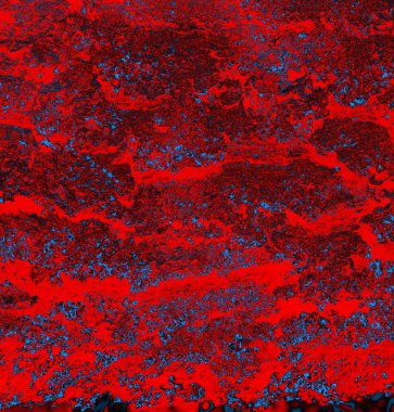 abstract grunge wallpaper, digital background