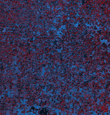 abstract grunge wallpaper, digital background