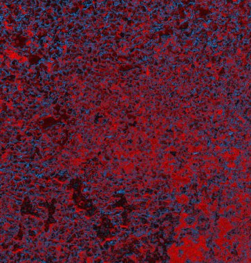 Soyut arkaplan. grunge dokusu