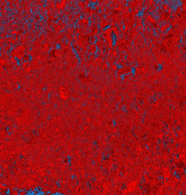 abstract grunge wallpaper, digital background