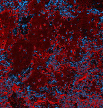 Soyut arkaplan. grunge dokusu