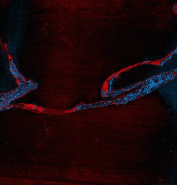 abstract grunge wallpaper, digital background