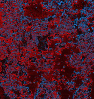 Soyut arkaplan. grunge dokusu