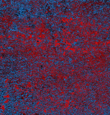 Soyut arkaplan. grunge dokusu