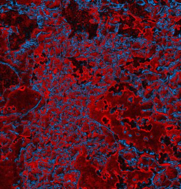 Soyut arkaplan. grunge dokusu