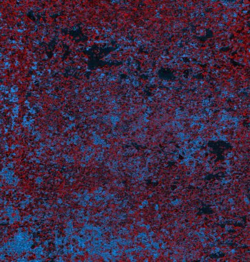 abstract grunge wallpaper, digital background