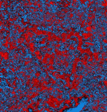 Soyut grungy desenli mavi ve kırmızı arkaplan