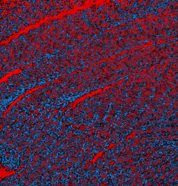 abstract grunge wallpaper, digital background