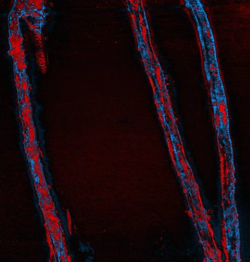 abstract grunge wallpaper, digital background