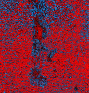 Soyut grungy desenli mavi ve kırmızı arkaplan