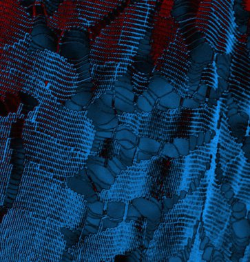 Soyut arkaplan, doku. Mavi ve kırmızı 