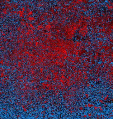 Soyut arkaplan. grunge dokusu