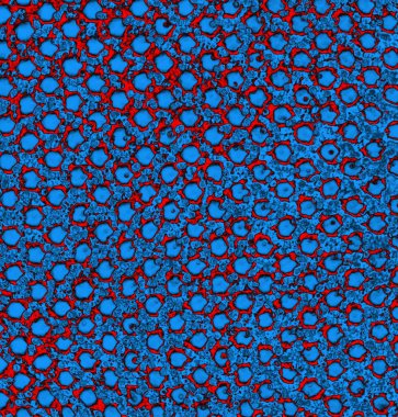 Soyut arkaplan, doku. Mavi ve kırmızı 