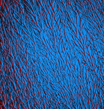 Soyut arkaplan. Monokrom dokusu. Resim siyah ve beyaz tonları içerir.