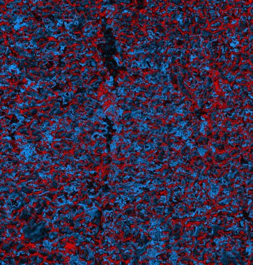 abstract grunge wallpaper, digital background