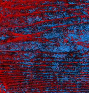 Soyut arkaplan, doku. Mavi ve kırmızı 