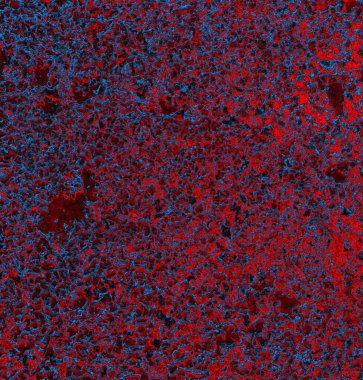 Soyut arkaplan. grunge dokusu