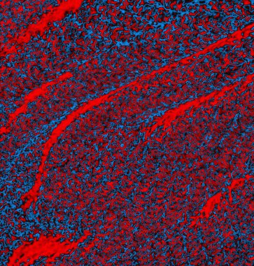 abstract grunge wallpaper, digital background