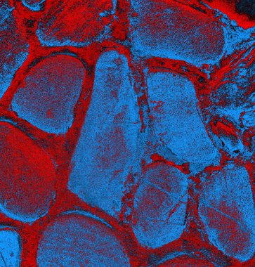 Soyut arkaplan, doku. Mavi ve kırmızı 