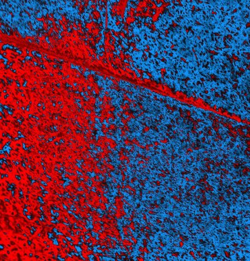 Soyut arkaplan. Çoklu renkli doku çizimi.