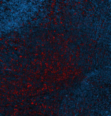 abstract grunge wallpaper, digital background