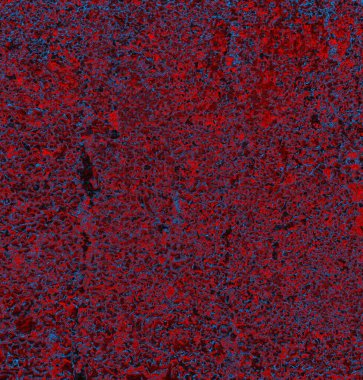 Soyut arkaplan. grunge dokusu