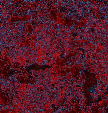 Soyut arkaplan. grunge dokusu