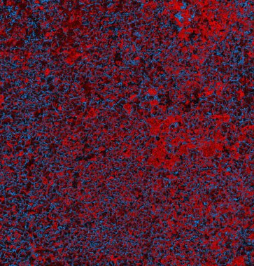 Soyut arkaplan. grunge dokusu