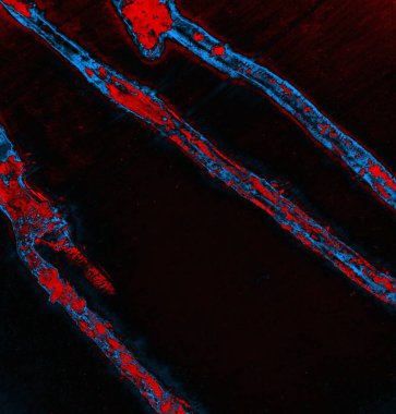 abstract grunge wallpaper, digital background